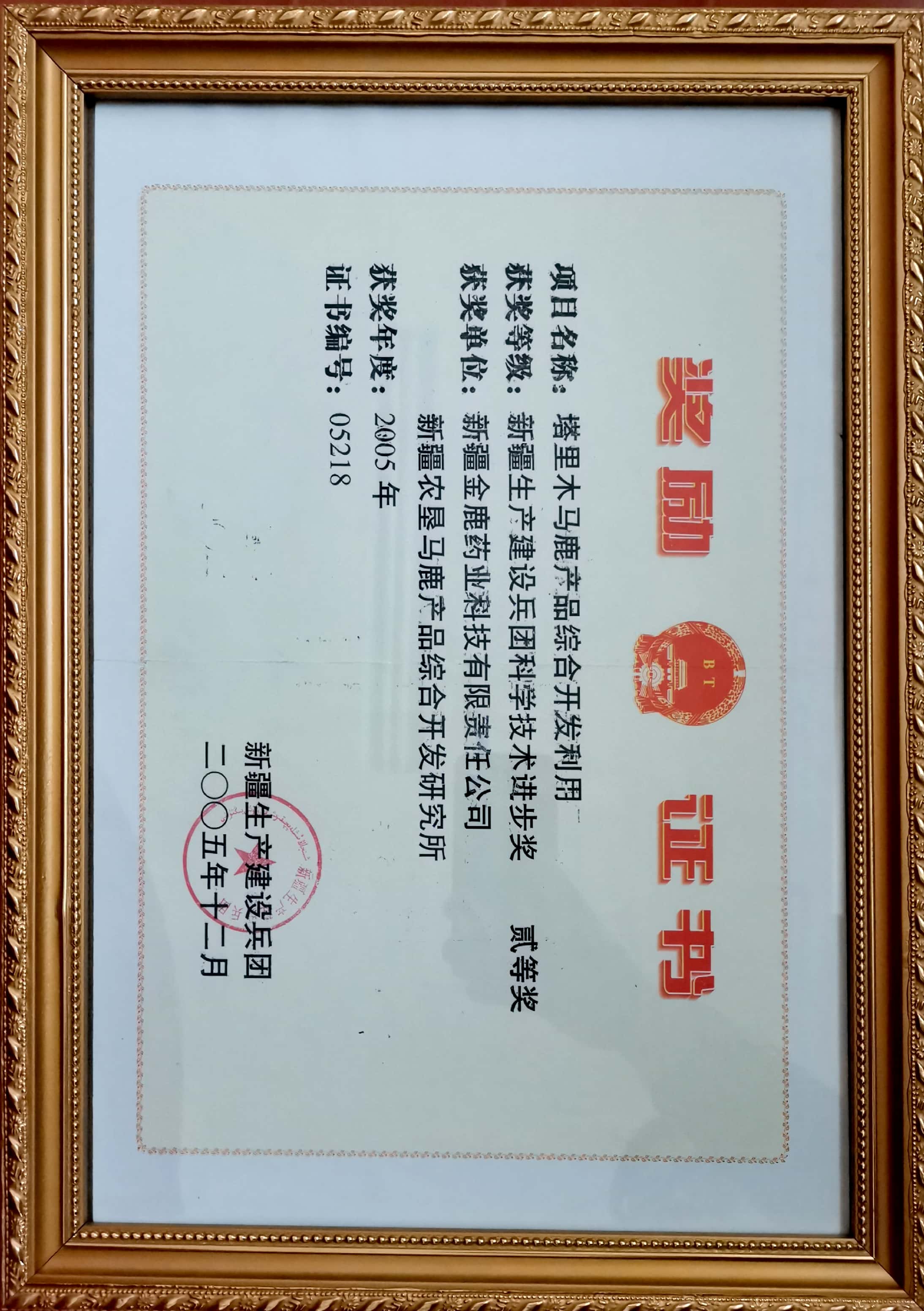 兵团进步二等奖.jpg