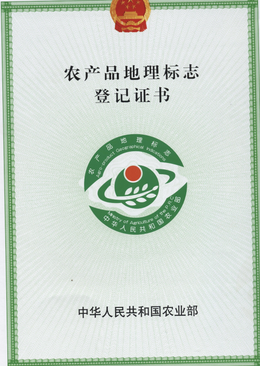 bdca1bc0-c371-45ab-b9c2-2c7ec66cc2d5.png